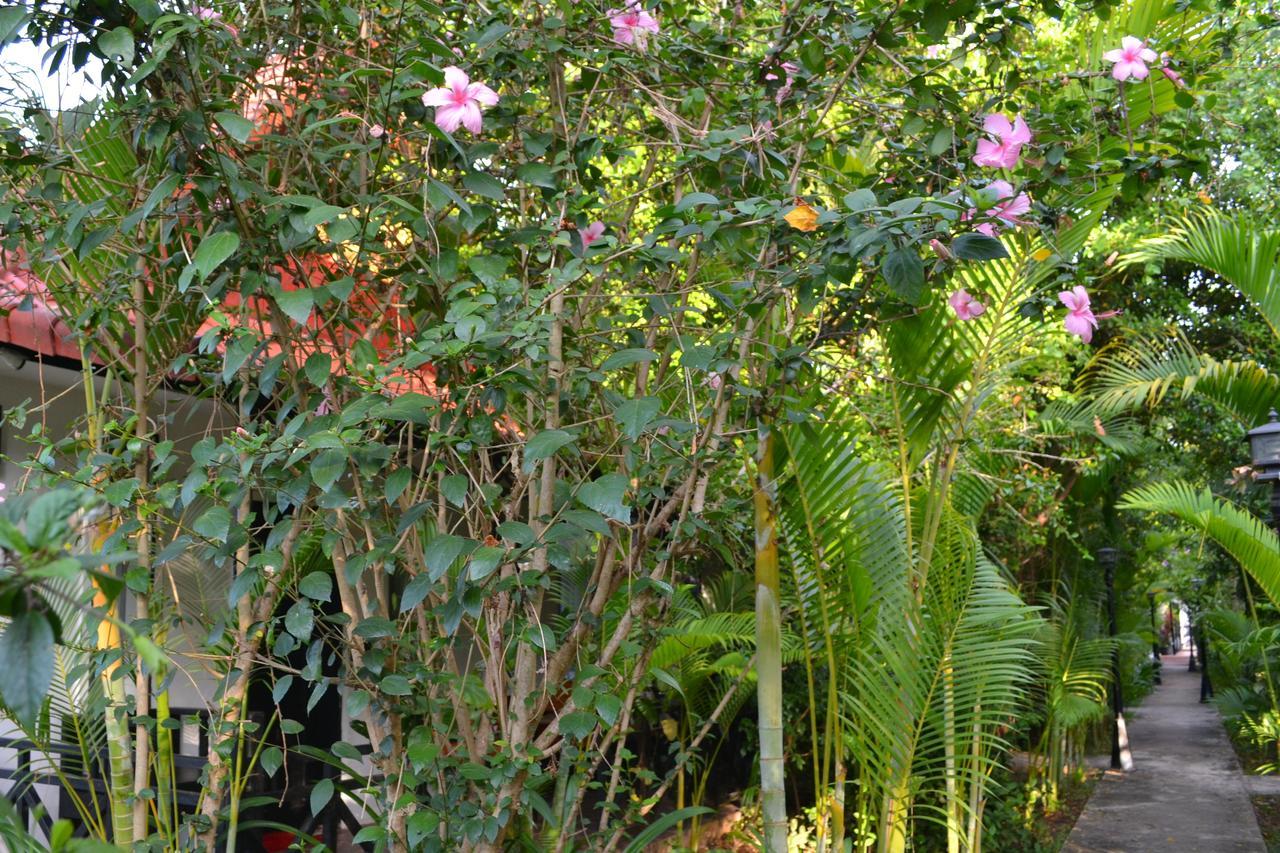 Nature Boutique Residence Siem Reap Extérieur photo